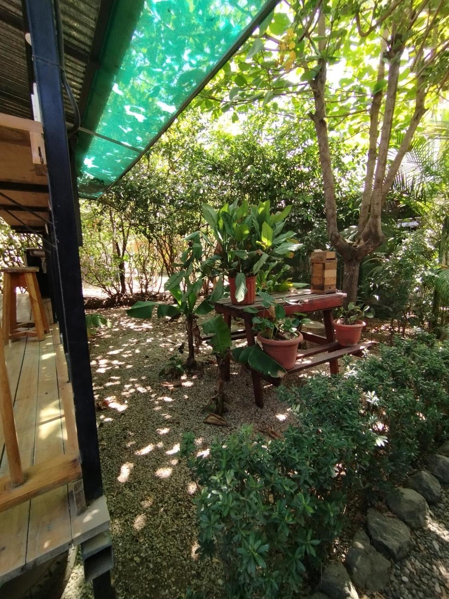 Chill-Inn Nosara Exterior foto